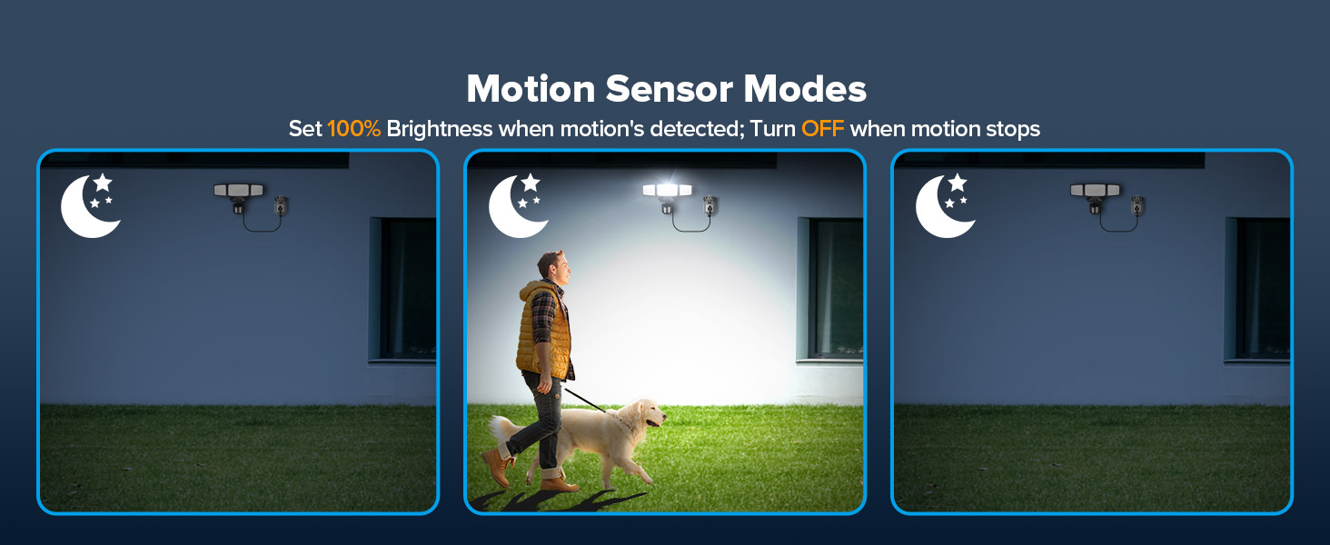 Motion Sensor Mode
