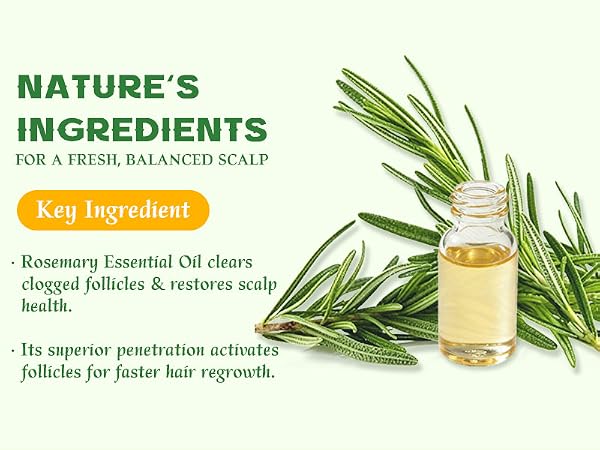 rosemary shampoo bar hair growth Oily Sensitive Itchy Thinning Dandruff Prone Scalp travel size