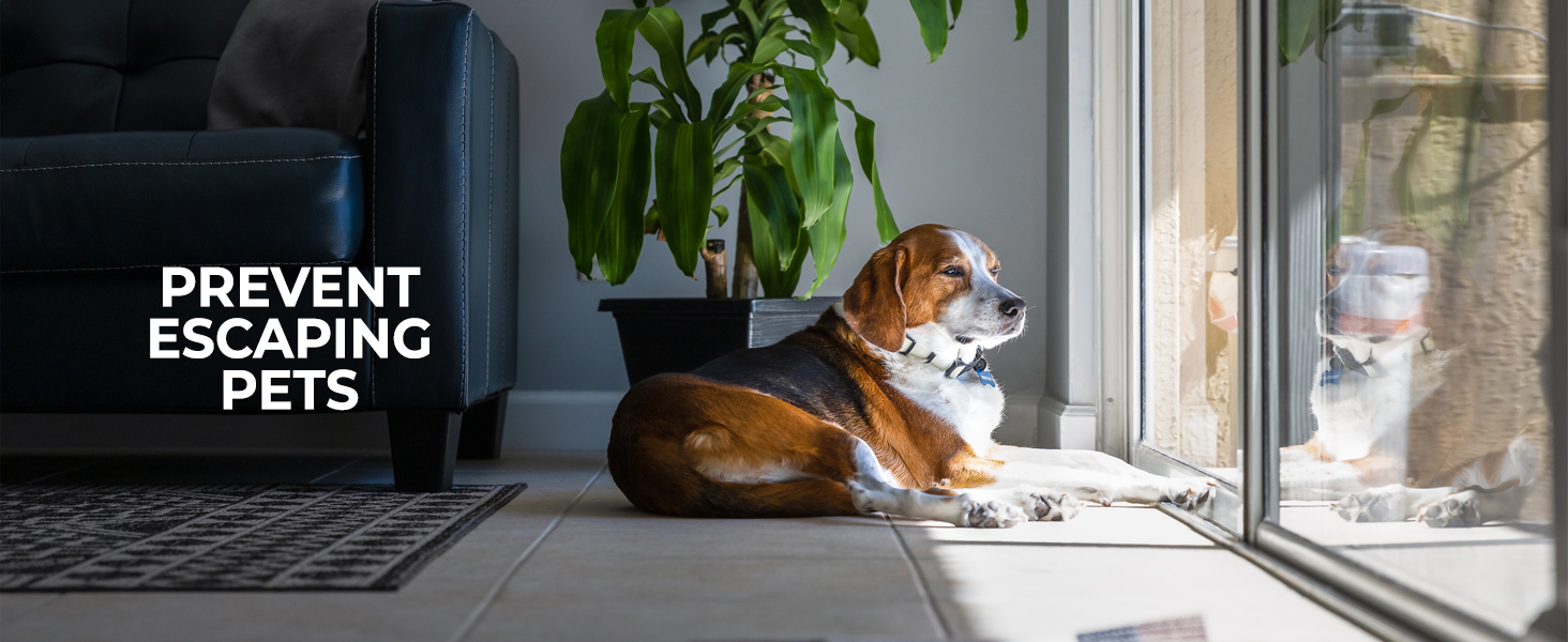 Safe pets