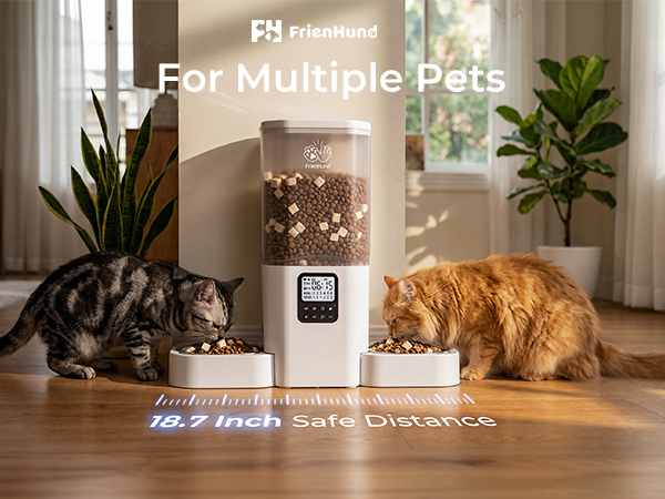 automatic cat feeder