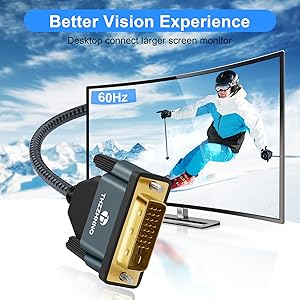 DP-DVI