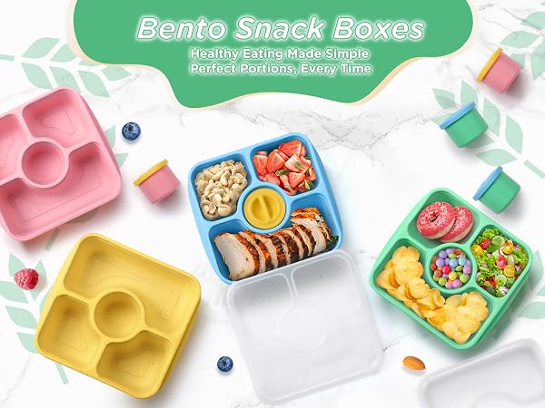 lunch box containers