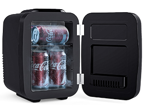 Mini Fridge Small Refrigerator Portable Thermoelectric Cooler and Warmer Fridge