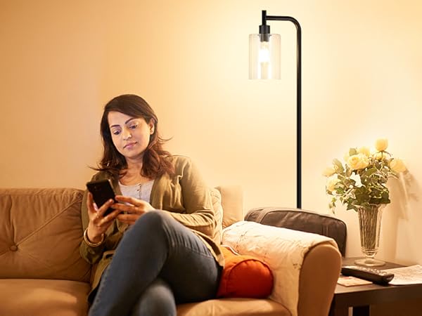 Corner Black Floor Lamp