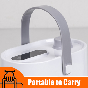 Portable steam cleaner for home house cleaning kitchen bathroom