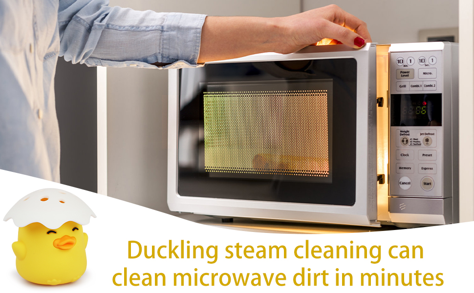 microwave cleaner lady