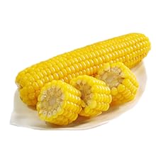 electric hard boiled egg cooker