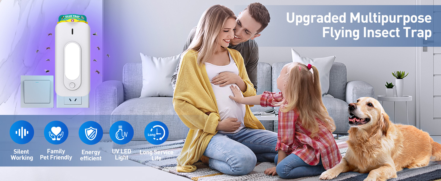 fruit fly traps for indoors