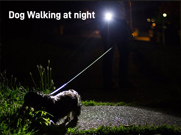 flashlight for dog night walking