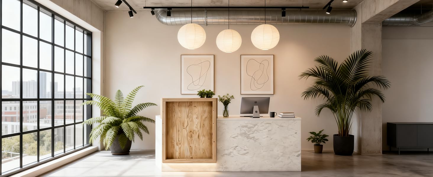 Modern Reception Desk with Counter