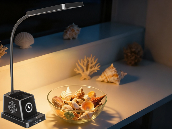 Desktop Light