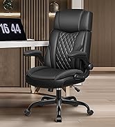 Desk Chair with Lumber support
