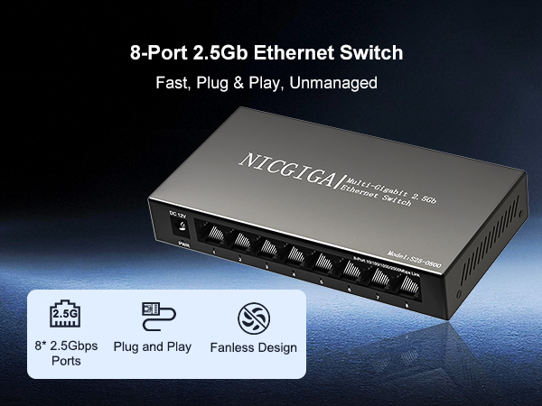 2.5g switch