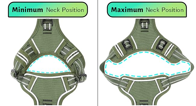 dog harness midium size dog