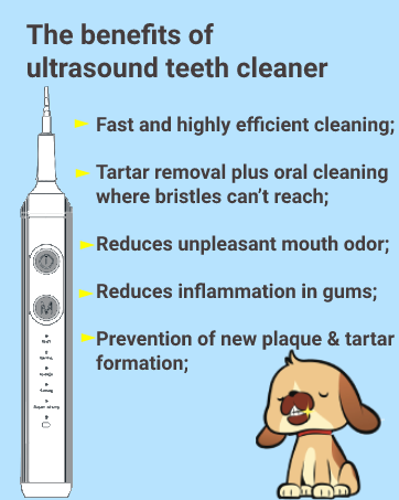 professional electric teeth cleaner