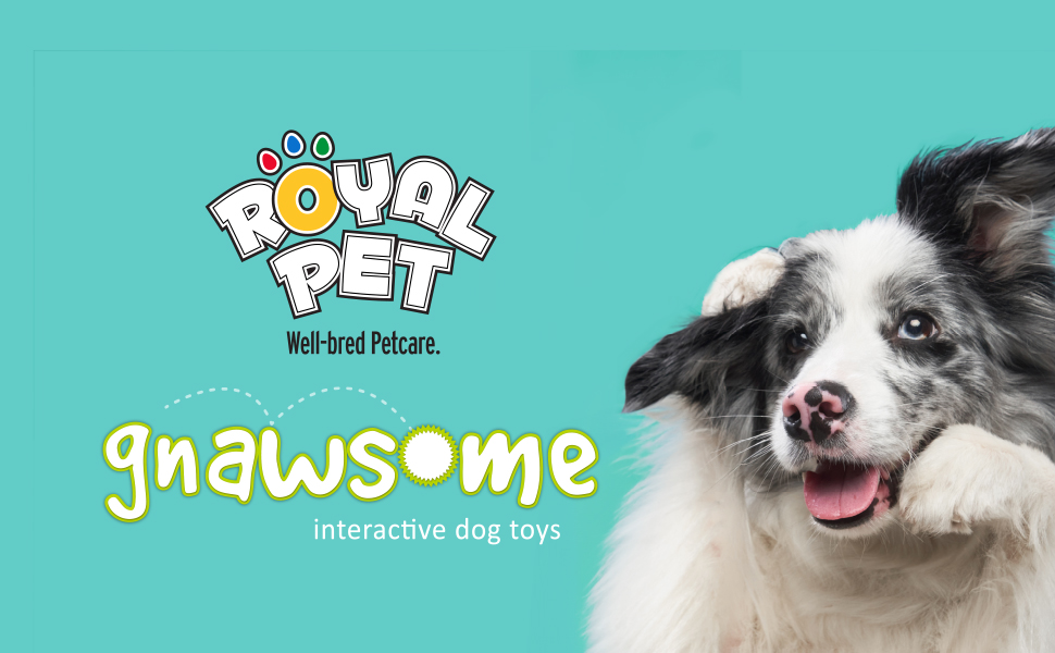 royal pet dog toys