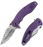 EMHTiii Pocket Folder Folding Knife: 3.14" Stainless Steel Blade, G10 Scales, Thumb Stud Liner Lo...
