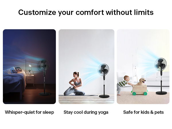 Customize your comfort