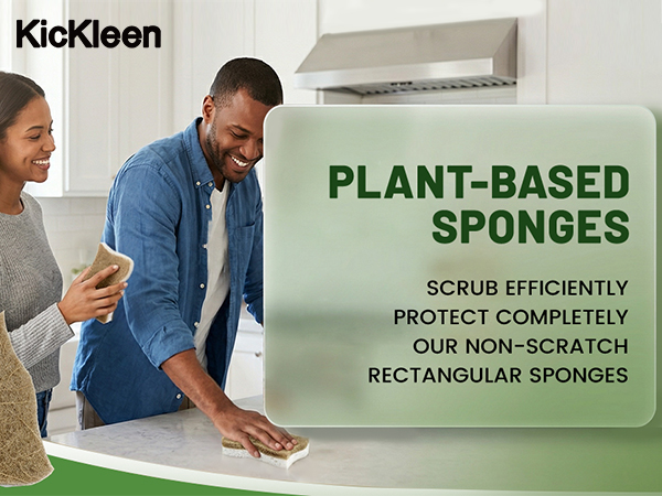 kitchen dish sponges