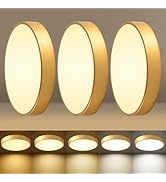 HLinghtnet LED 12 in Round Flush Mount Ceiling Light Gold 24W 2700K-5000K,Thyristor Dimmable,Meta...