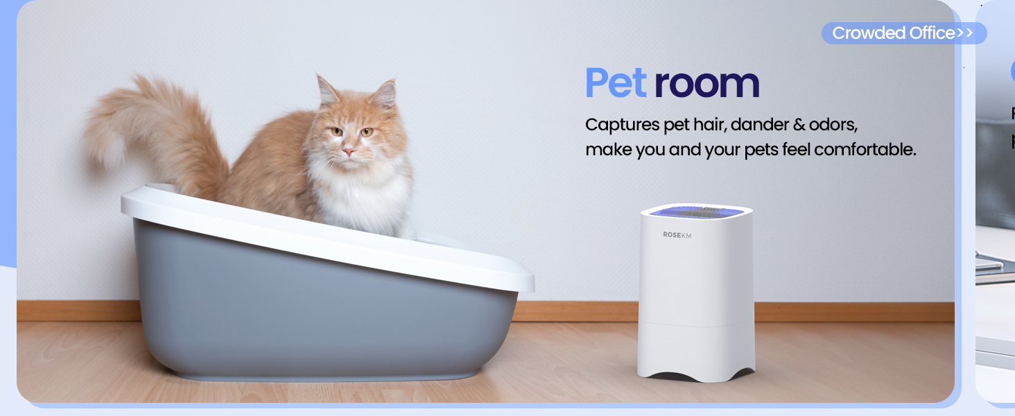 air purifier for pet room