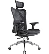 SIHOO M57 Ergonomic Office Chair with 3 Way Armrests Lumbar Support and Adjustable Headrest High ...