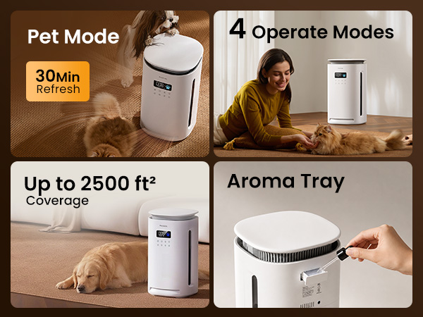 room air purifier