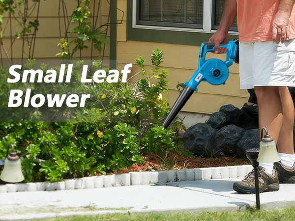 Small Leaf Blower Cordless