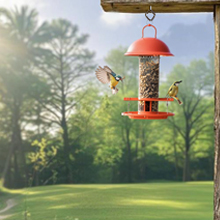 Bird Feeders Hooks