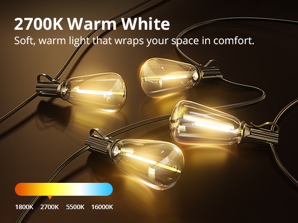 outdoor string lights