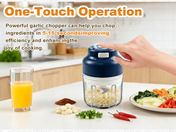 mini food processor