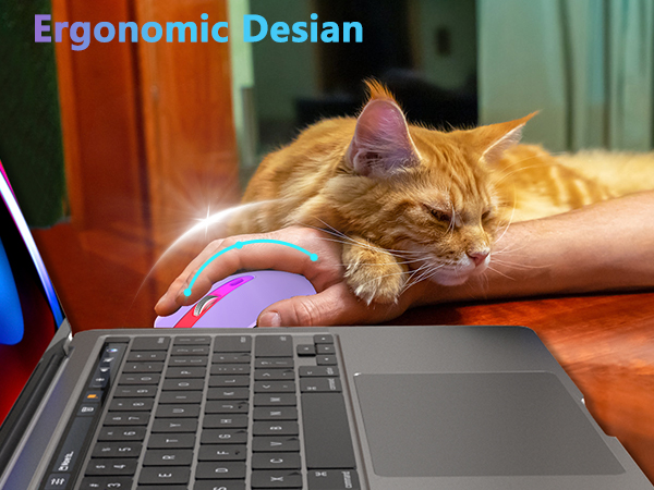 Wireless Bluetooth Mouse