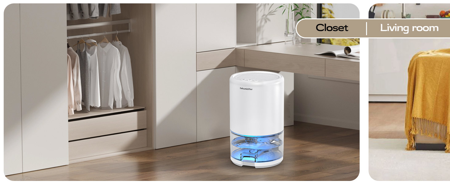 dehumidifier
