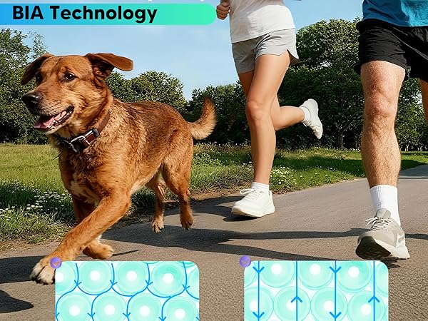 arboleaf 8-Electrode smart scale