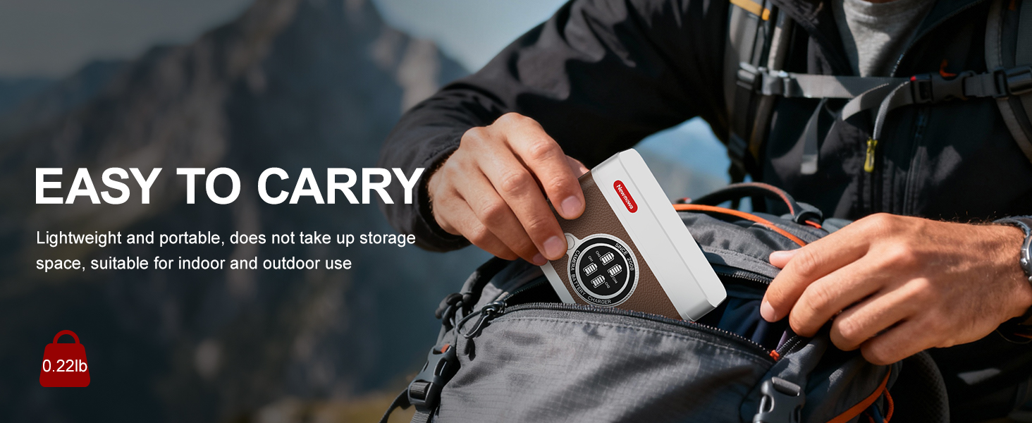 battery charger for sony np-bx1