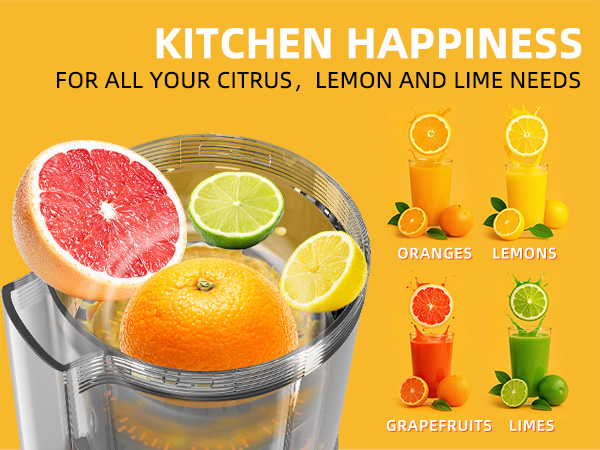 KITCHEN HAPPINESS