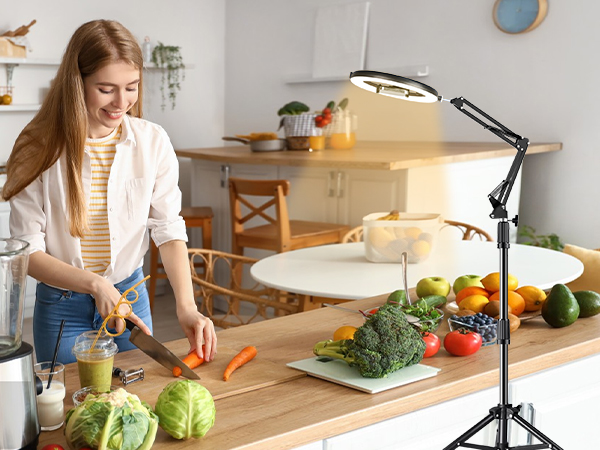 overhead phone mount with light