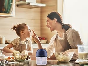 cordless food chopper