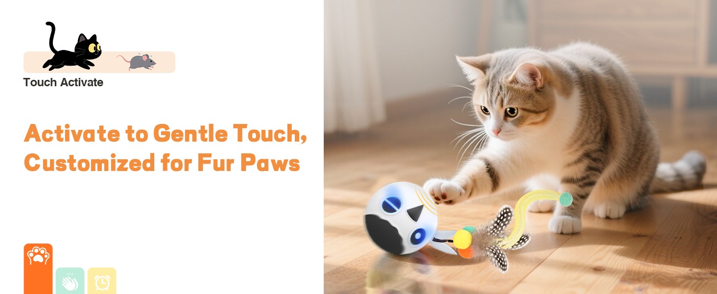 cat toys