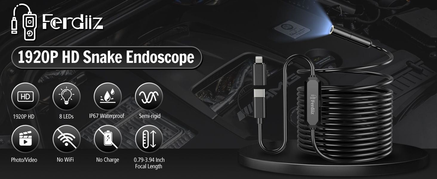 endscope camera with light