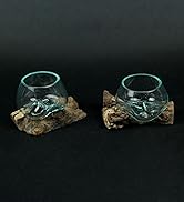 Glass Driftwood Terrariums