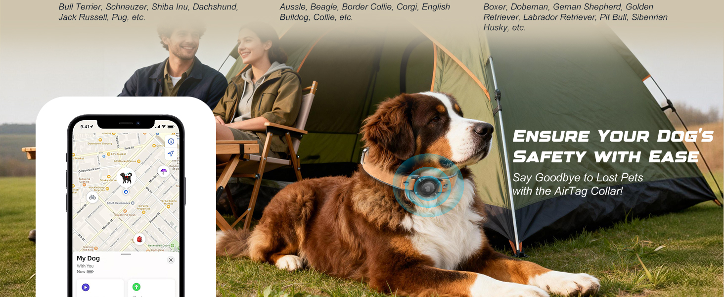 apple tag dog collar