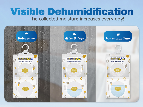 Visible Dehumidification