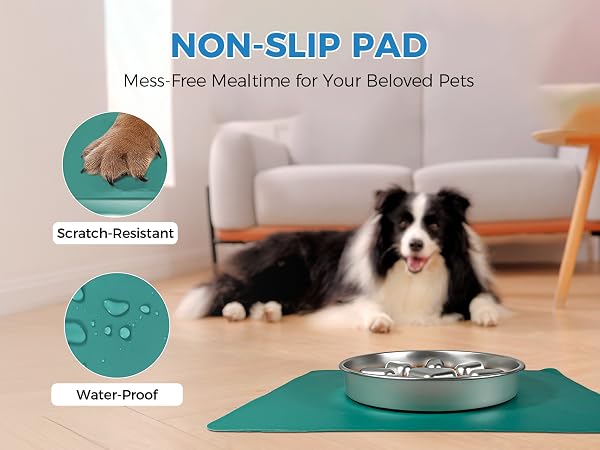 slow feeder dog bowls