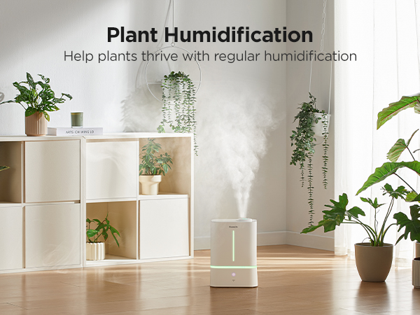 plant humidification