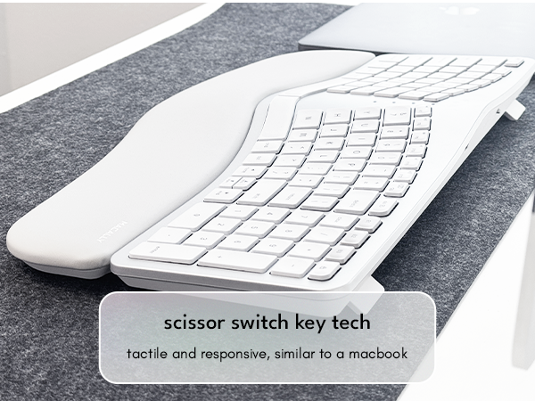 ergonomic mouse