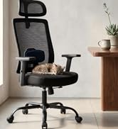 Shintenchi Office Chair Ergonomic Computer Desk Chair, 330 LBS Home Mesh Office Desk Chairs with ...