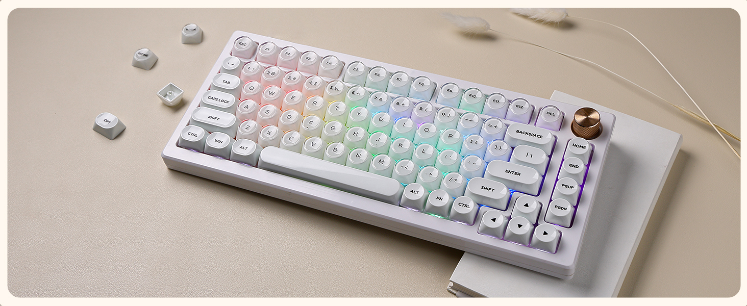 pure white aesthetics keycaps