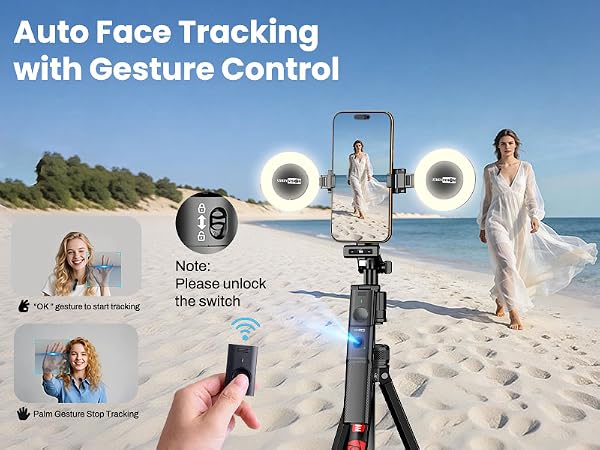 Gesture Control
