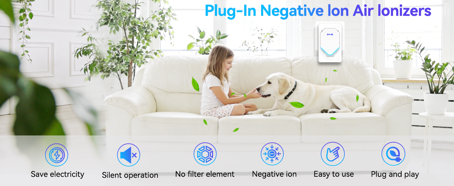 Air Ionizer Plug In